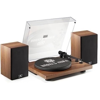ANGELS HORN Vinyl Record Player, Hi-Fi System Bluetooth Turntable Players
